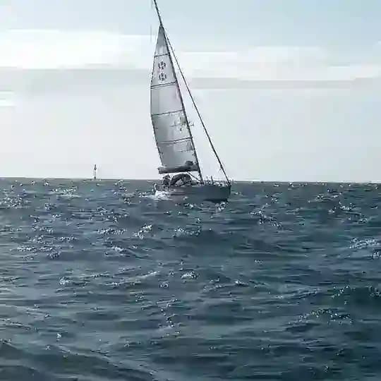 Tanja Iwan4aj
