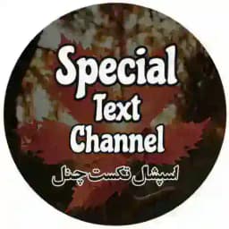 🍁Special Text🍁 Profile
