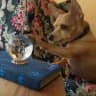 The crystal ball [cw]