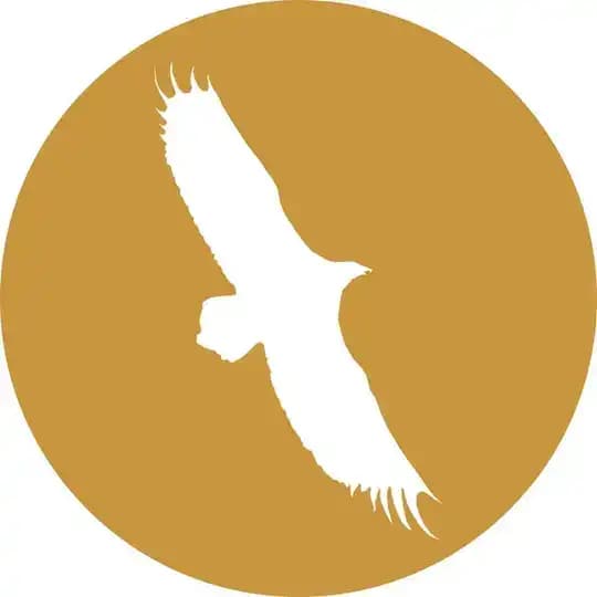 The Four Winds Español Profile