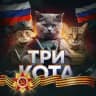 Три Кота|БПЛА