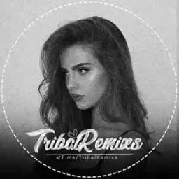 🎶🔹TRiBaL | تریبال🔸🎶 Profile