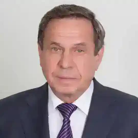 Владимир Городецкий