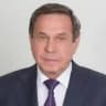 Владимир Городецкий