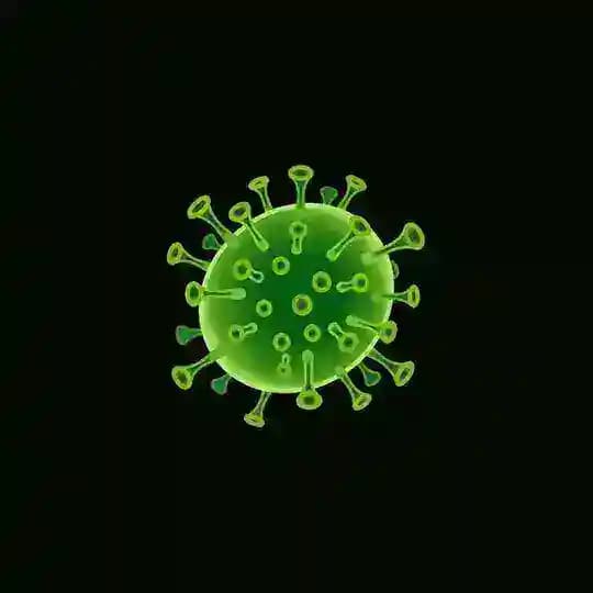 Virus Community