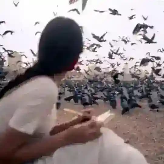 ودّ القيس