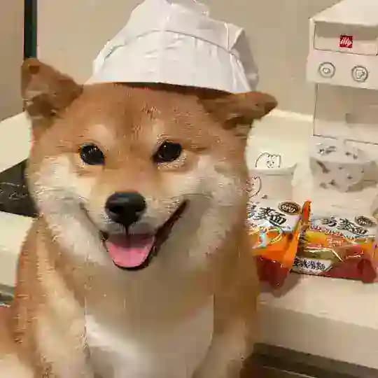 神也是人 Profile