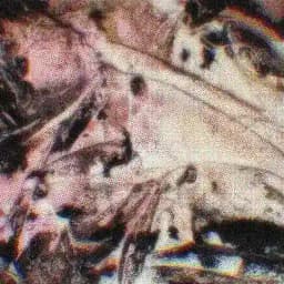 𝕎𝕐𝕐𝕄 Profile