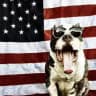 The WatchDog