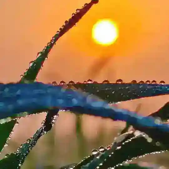 🌎🌿 Mother Nature 🌿❤ Profile