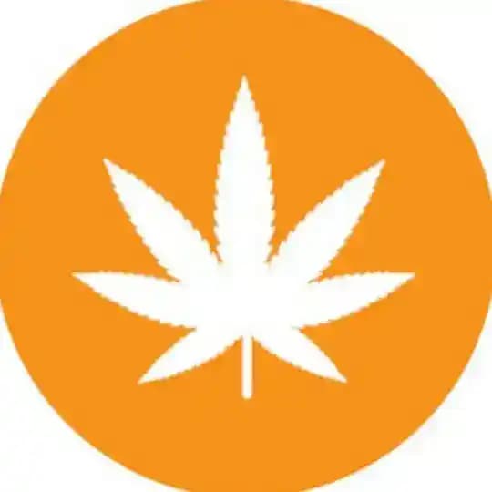 Weedcoin CTO (Entry Portal)