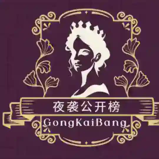 武汉夜袭 公开榜