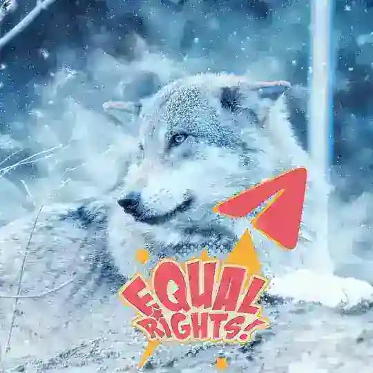 Wolf Animal Rights on Telegram by GRT : No death penalty to wolves - death sentence instead to criminals for animal torture!