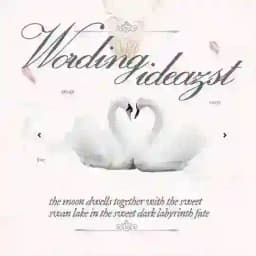 ◌ ׁ ₊ Wording iDeast. ⡇ 🦢♡ Profile