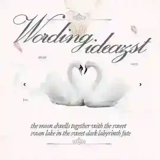 ◌ ׁ ₊ Wording iDeast. ⡇ 🦢♡ Profile