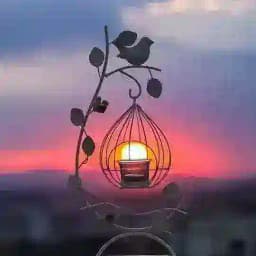 كلمات لأجلك Profile