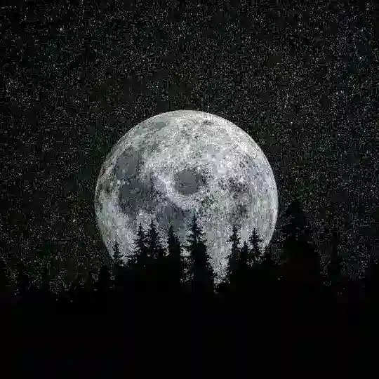 DARK WORLD