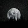 DARK WORLD