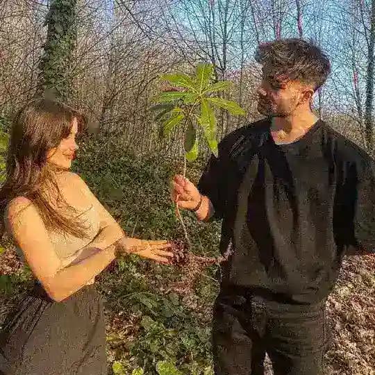 مـجرد شـعور🌿
