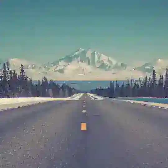 Ваш Путь 🛣Easy Trip