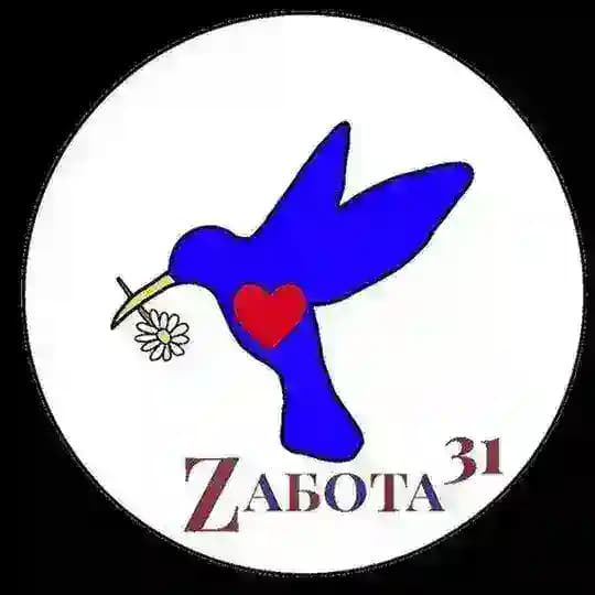 Zабота 31
