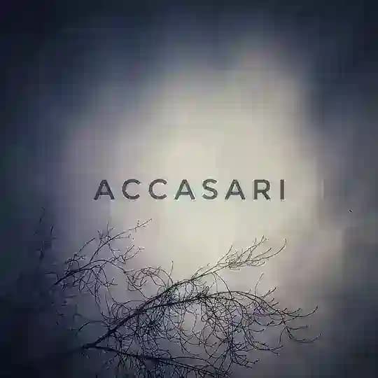 Accasari