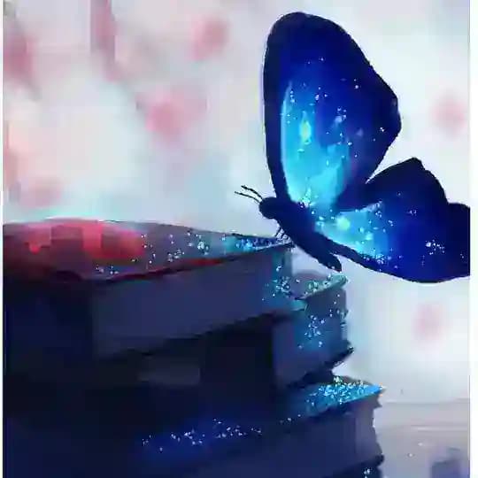 افکارزیبا Profile