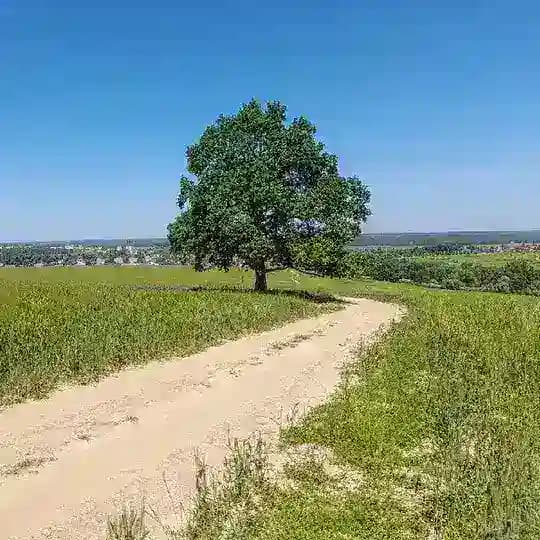 Мир глазами агроэколога
