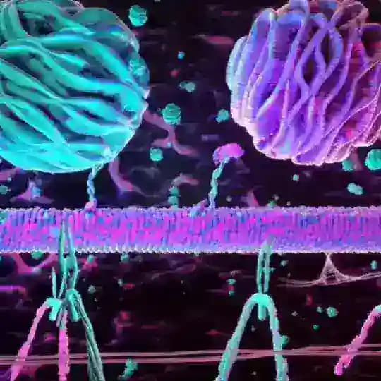🌳🦒BRATMABAND LAB VIDEO