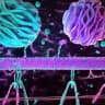 🌳🦒BRATMABAND LAB VIDEO