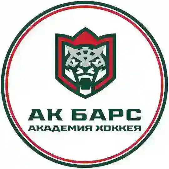 Академия хоккея «Ак Барс»