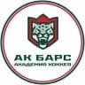 Академия хоккея «Ак Барс»