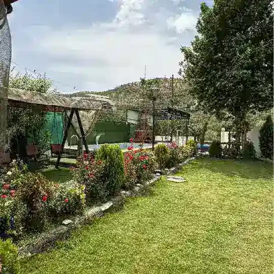 علاء عباس || alaa abas Profile