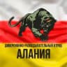 "АЛАНИЯ". Сводки с фронта