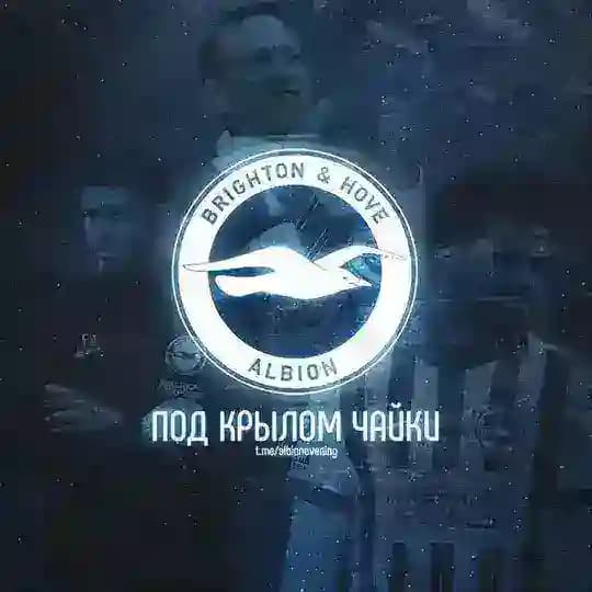 Под крылом чайки | Брайтон