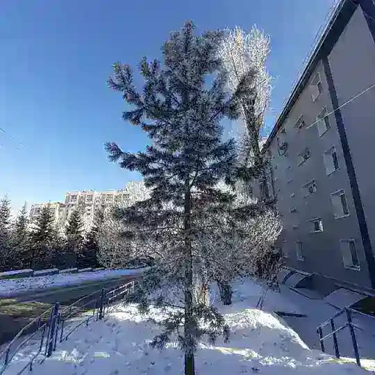 Народные инициативы-общественный контроль