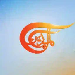 قناة الميادين | عاجل Profile