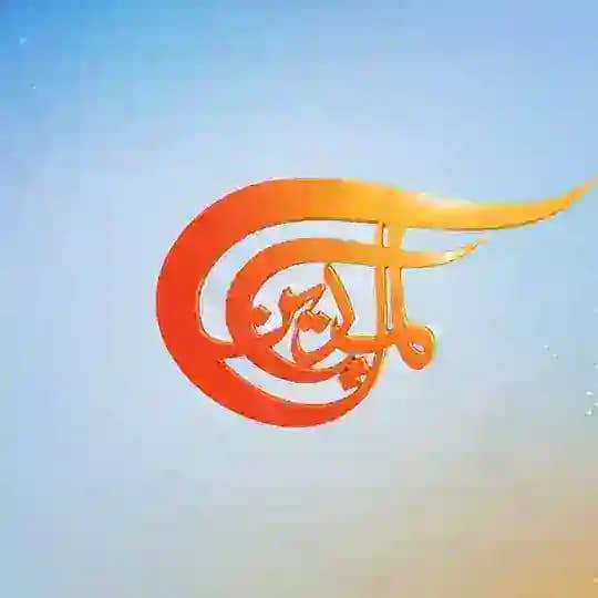 قناة الميادين | عاجل Profile