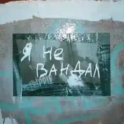 Невечная мерзлота Profile