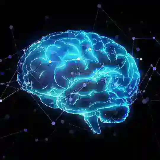 All about AI, Web 3.0, BCI
