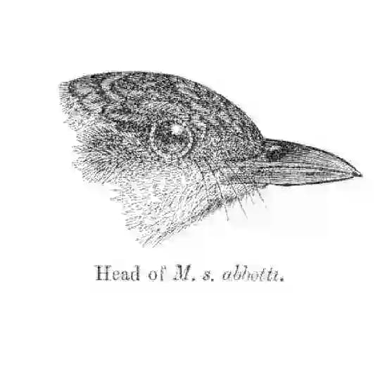 Иван Лужков Profile