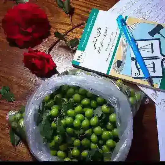 استخدامی دبیری و آموزگاری🎓