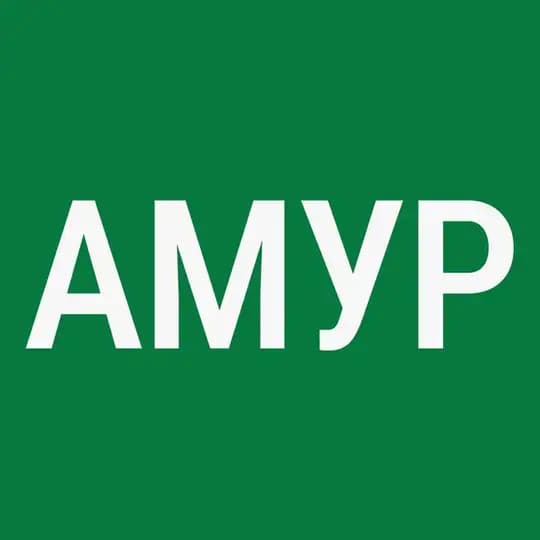Амурские дела
