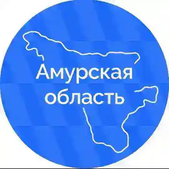 Амурская область | Правительство