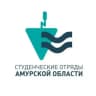Студенческие отряды Амурской области