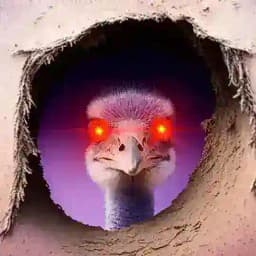 𝖆𝖓𝖉𝖗é 𝟏𝟑%'𝖊𝖗 𝕭𝖎𝖙𝖈𝖔𝖎𝖓𝖊𝖗 🌽🐸 Profile