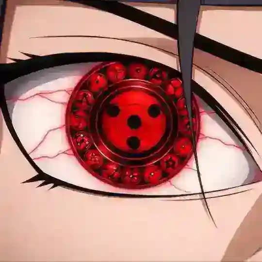 Animefication Portal