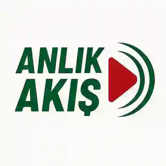 Anlık Akış