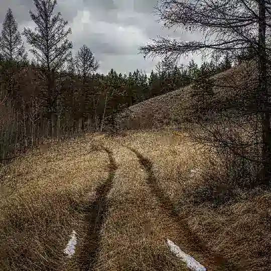 Туда-сюда | Байкал, Сибирь и не только