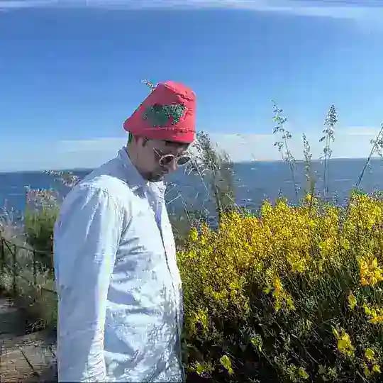 Собака старая, трюки новые